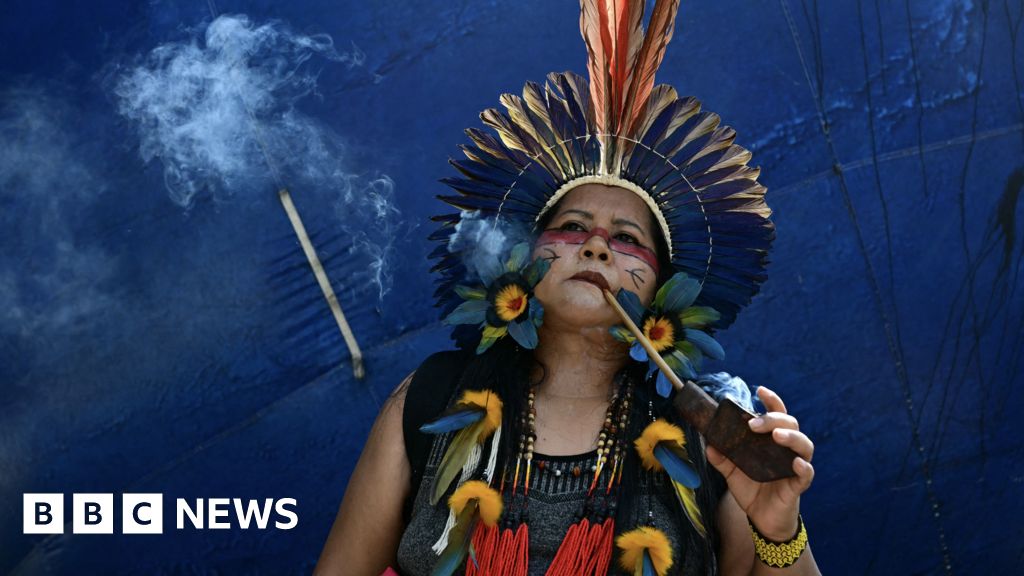 Brazil creates new Indigenous territories during protest-hit COP30