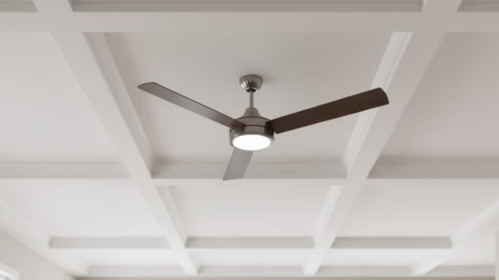 Why Most Ceiling Fans Have Only 3 Blades? | Science & Environment News